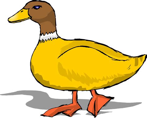 duck images clipart